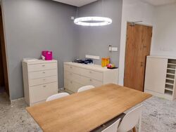 Tanglin Park (D10), Condominium #552684271